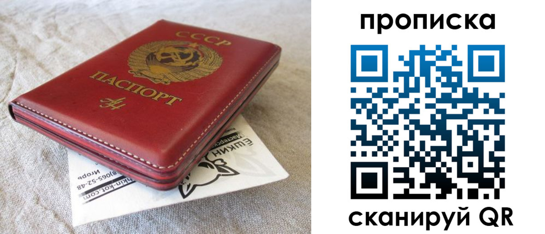 прописка для школы в Моздоке